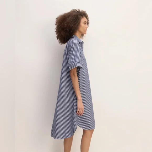 Everlane Daytripped Blue Pinstripe Button Up Shirt Dress - Picture 5 of 11